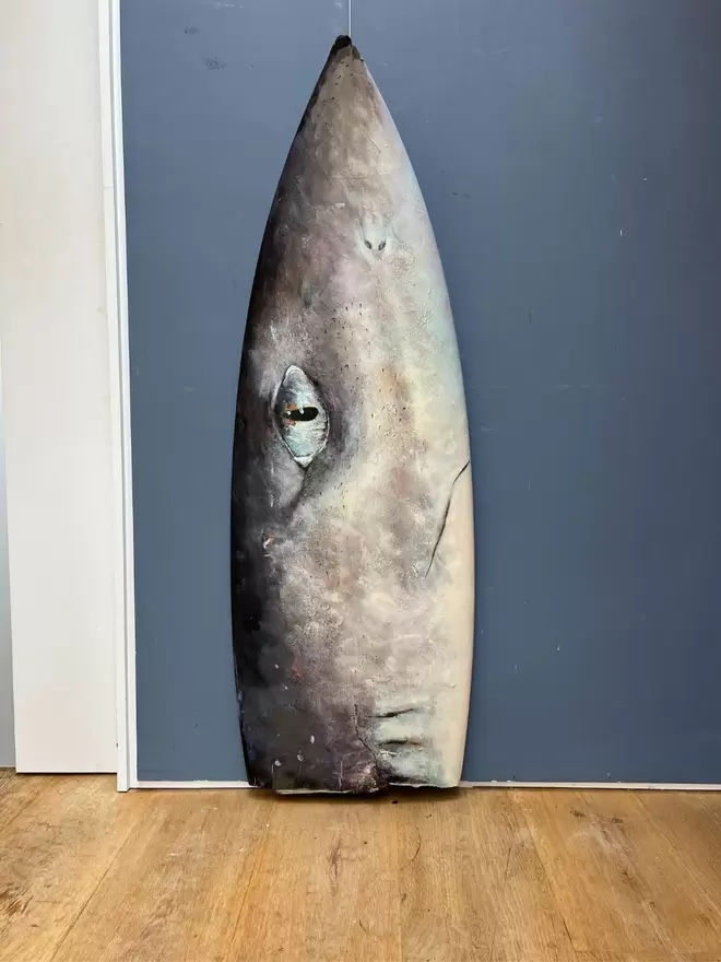 Dogfish Surfboard - ' Anyone For A Swim ? '