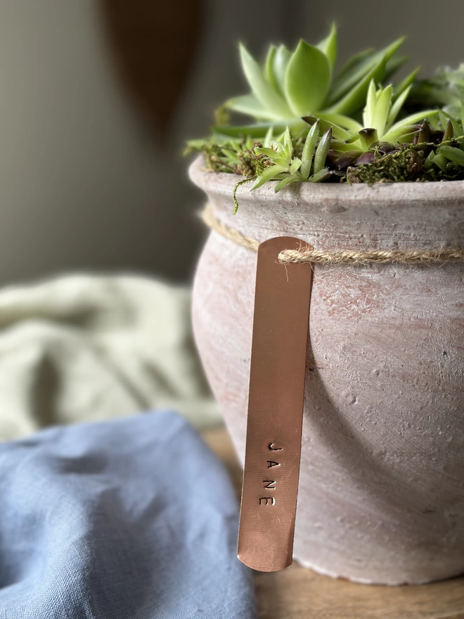 A profile view of a distressed limewash terracotta pot filled with fresh sempervivum plant and finished with a personalised copper tag on hand-bound twine