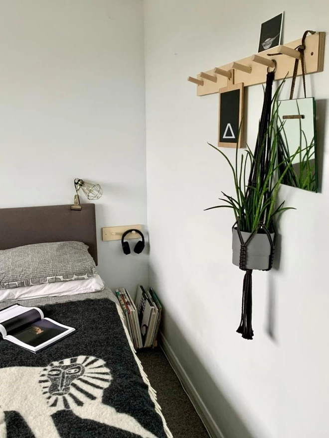 pegrail in bedroom with hanging plant and mirror