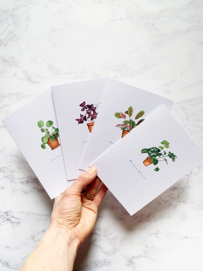 Watercolour illustrated house plant cards on A6 white card, monstera, oxalis, maranta and pilea are hand painted in watercolour and printed onto cards. A white woman's hand holds the four cards our in a fan shape to showcase each card. 
