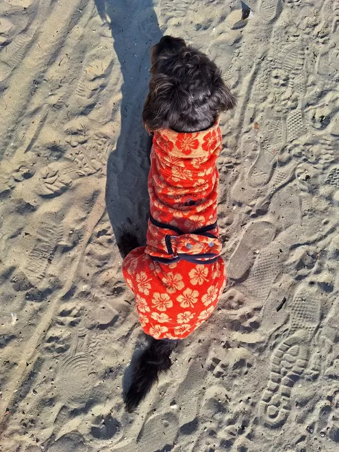 Peach Hibiscus flower dog drying robe. 100% absorbent cotton. Popper fastening, tail hole and full belly coverage. 