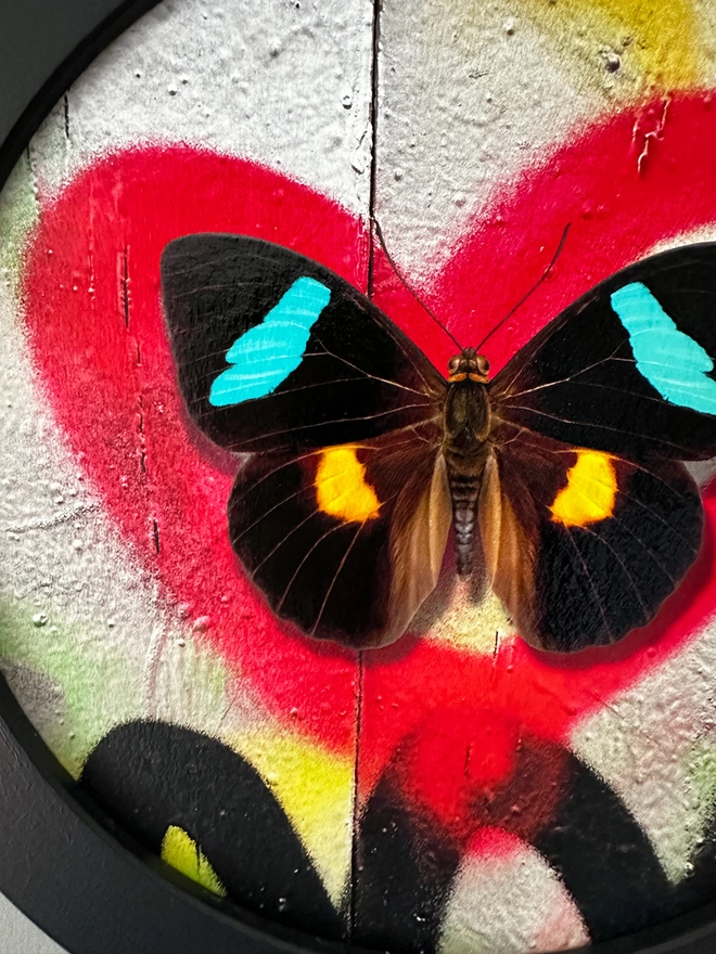 Painted butterfly art on red spray paint graffiti heart