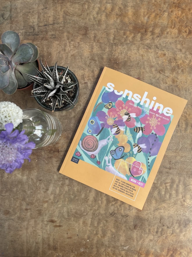sonshine magazine on a wooden table with two plants