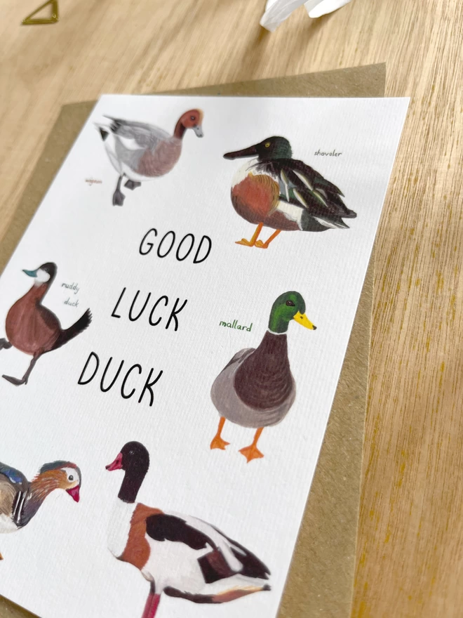 a greetings card featuring a selection of different species of ducks with the phrase “good luck duck”