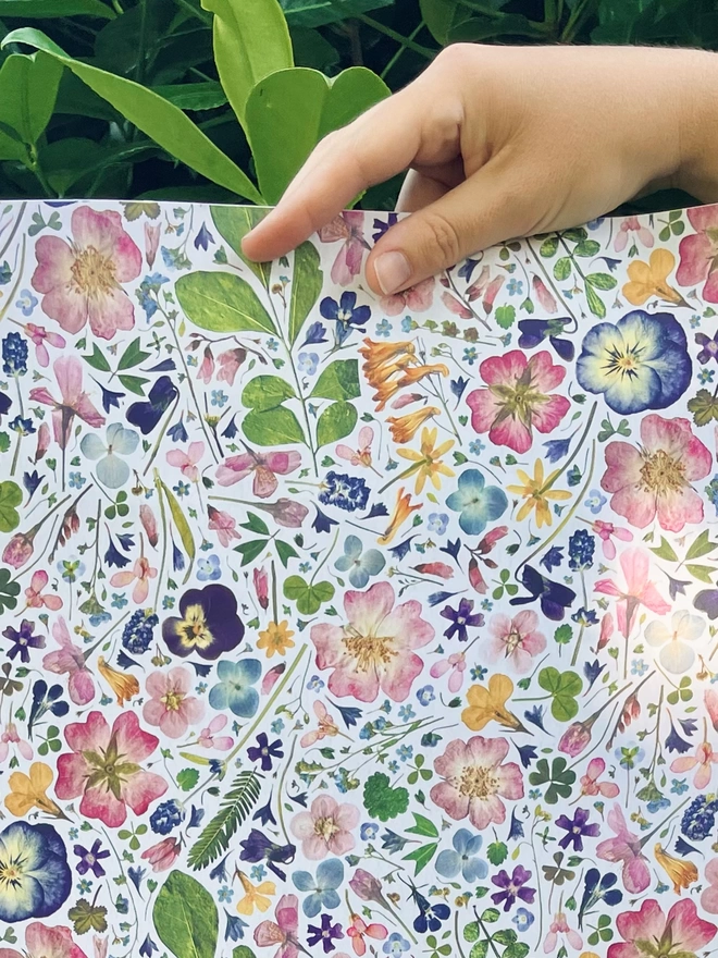Close-up of luxury floral wrapping paper featuring Hydrangea, Viola, Cornflower, Lavender, Pink Dog-Rose, Daisy, Verbena, Buttercup, and Forget-Me-Not design