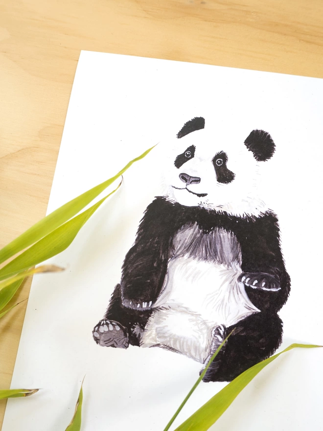 A print with a white background featuring an illustration of a young giant panda