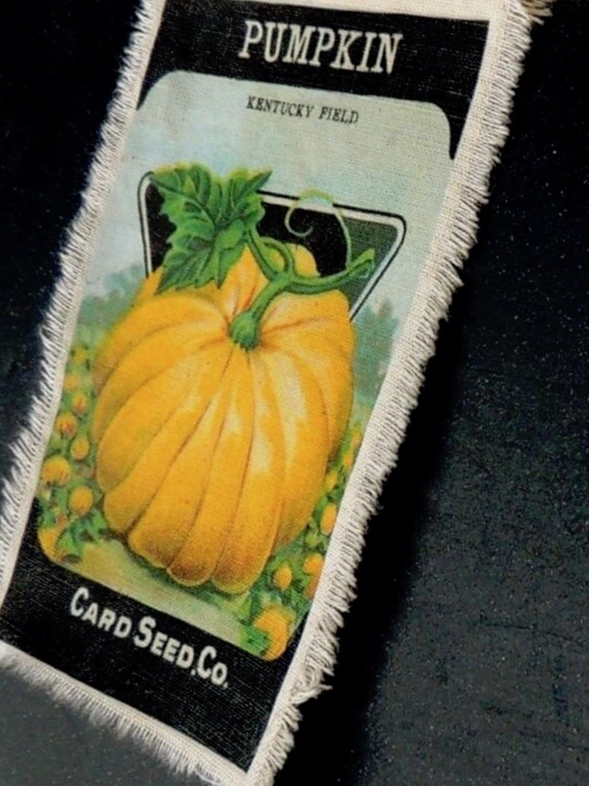 A pumpkin seed packet print on canvas