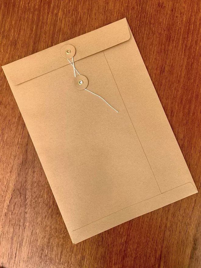 An A4 brown kraft paper window envelope with string fastener.
