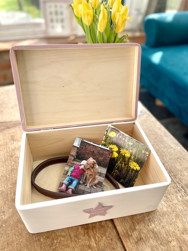 Ideas for Contents of dog memory box 