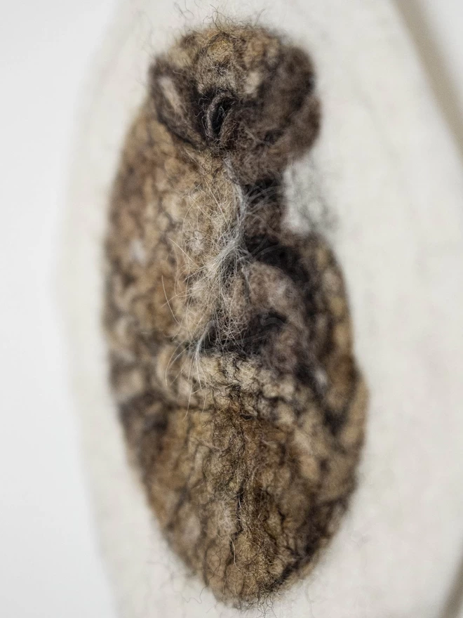 Detail of needle-felted armadillo portrait