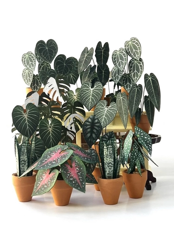 15 Miniature paper plants all huddled together for a group photo against a white background with a miniature Caladium Red Flash at the front