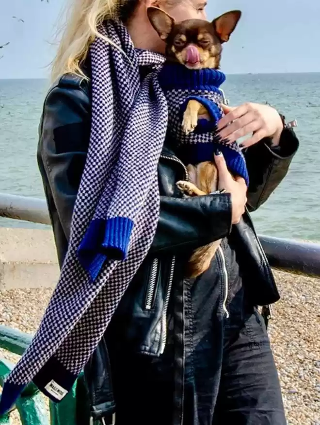 navy blue scarf and matching navy dog jumper 
