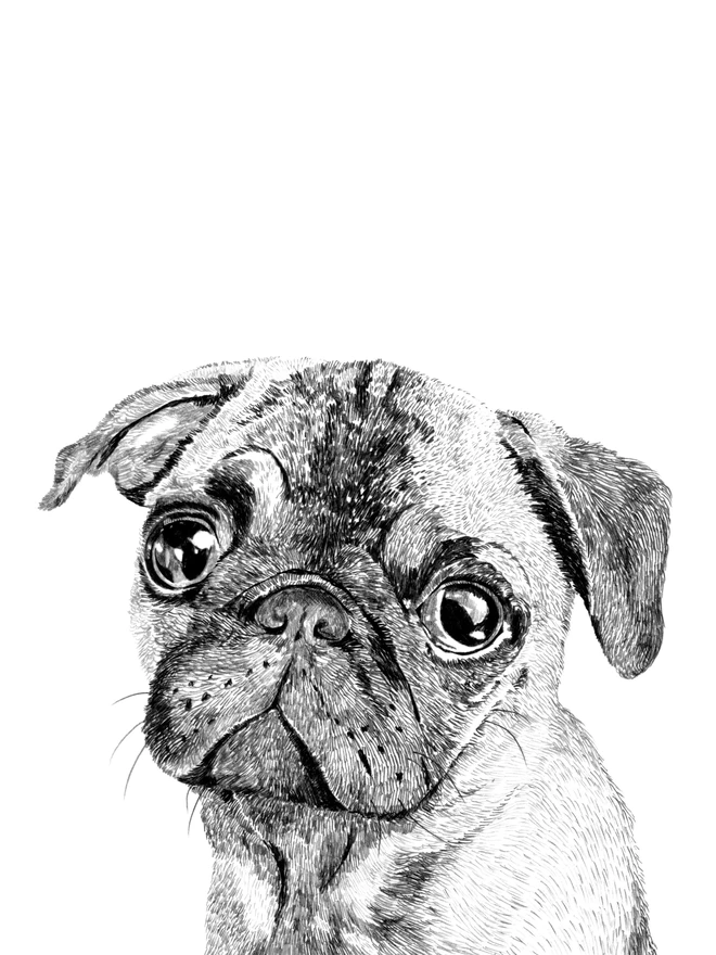 Detail of pug dog art print