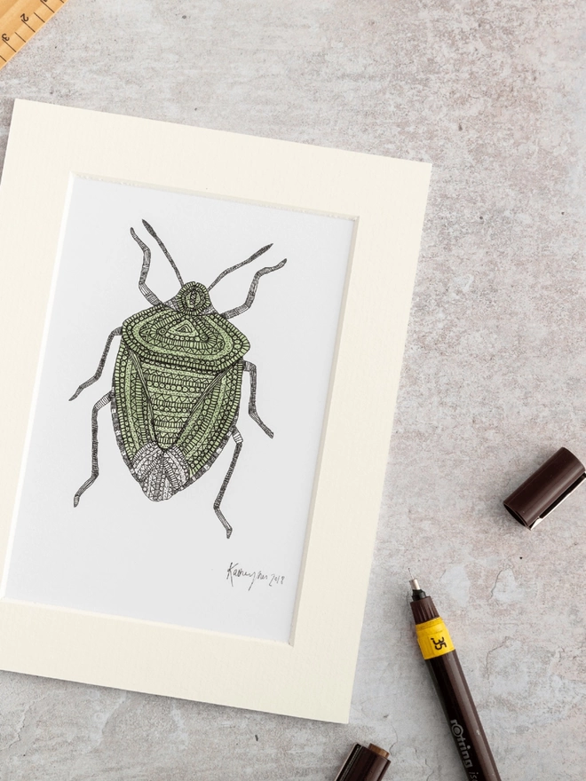 Note card with intricately patterned pen and watercolour drawing of a Green shield bug, in a soft white mount