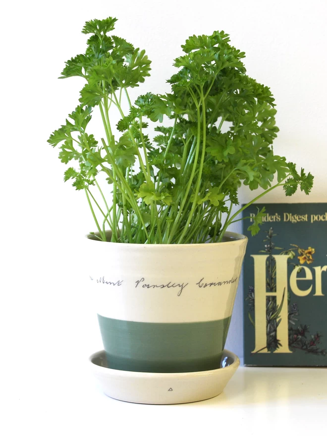 ceramic herb pot with vintage herbs book