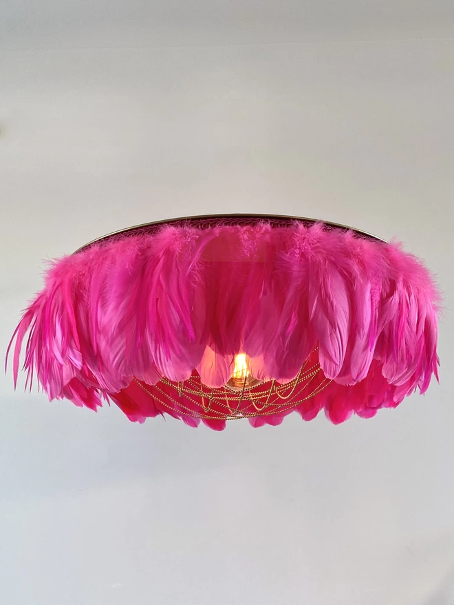 Barbie pink feather light shade 