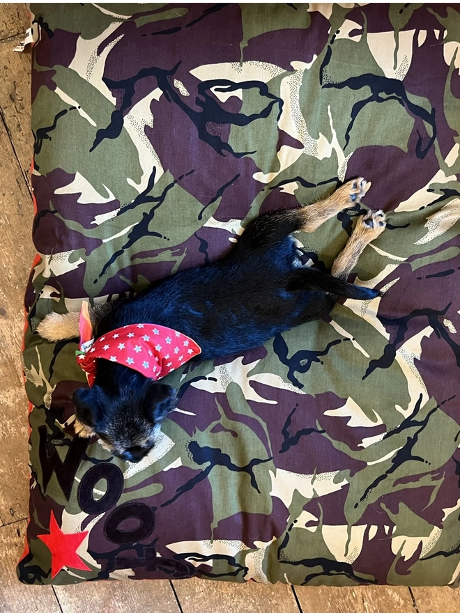 Large Corner Woof Dog Bed in Camo with Boarder Terrier Puppy