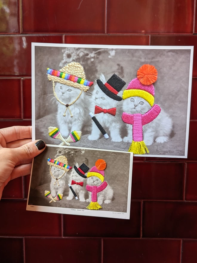  B&W photo and print version, 3 cats in embroidered sombrero, top hat and bobble hat 