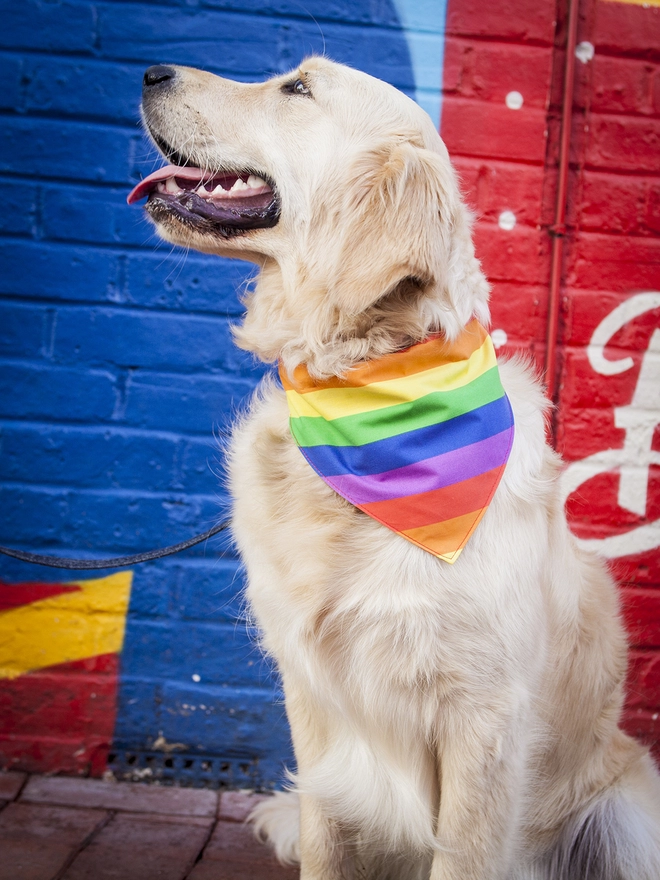 Tie On Pride Dog Bandana