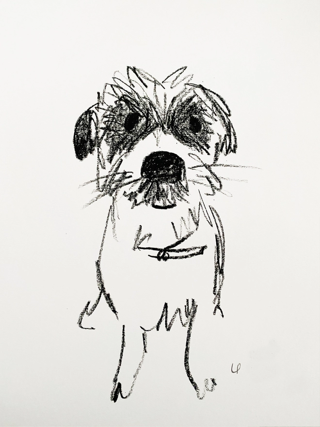 black and white line drawing of dog on white paper