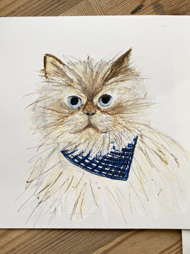 oil pastel illustration of fluffy cream cat with blue gingham necktie