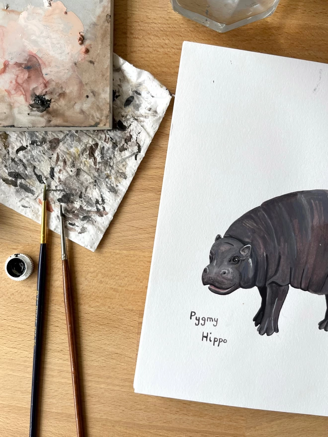 Photo of a goache paint illustration of a pygmy hippo
