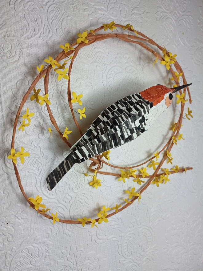 orange bellied woodpecker paper art