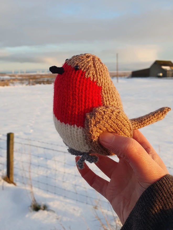 Knitted robin in the Scottish snow