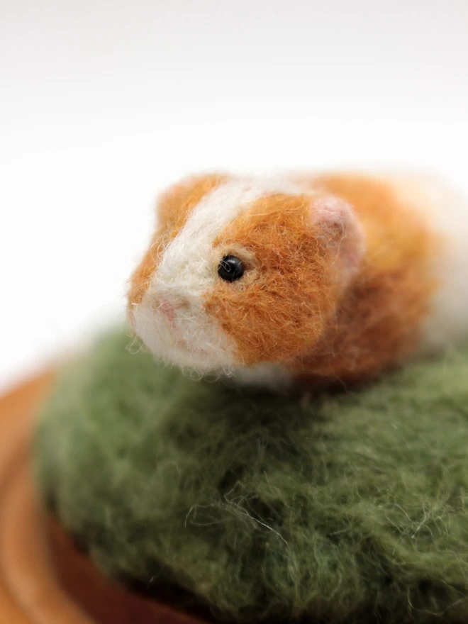 Needle-felted guinea pig sculpture-close up