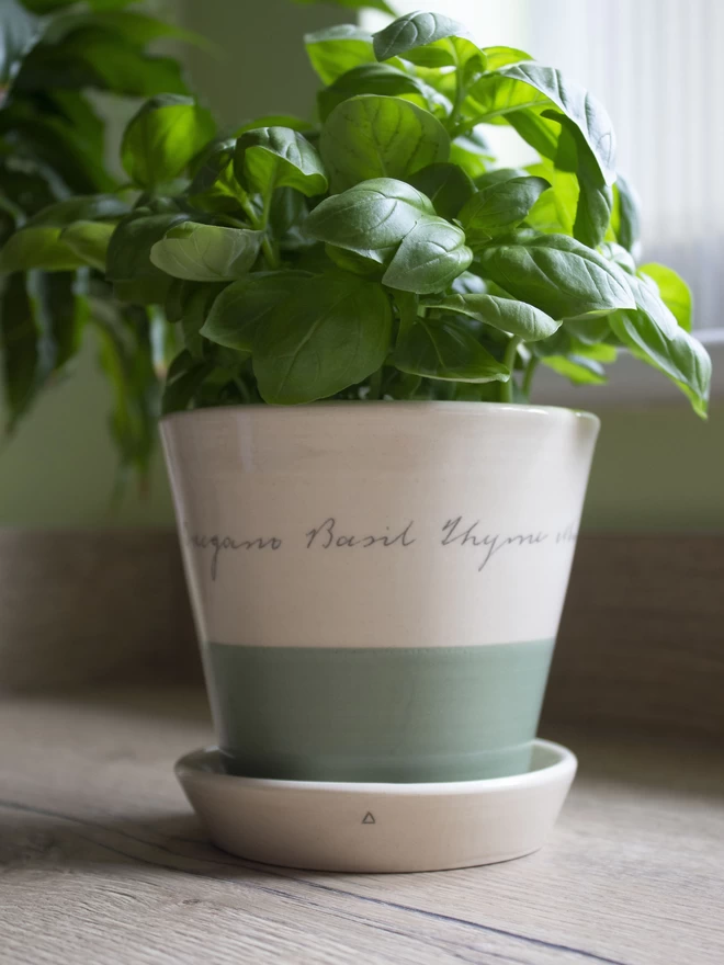 handmade ceramic herb pot