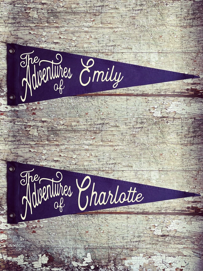 Two navy 'The adventures of' pennant flags displayed on a wall. in ivory are the names Emily and Charlotte.