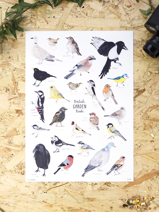 a print with a white background featuring illustrations of a large selection of British on some wood with birdseed, some binoculars and some ivy