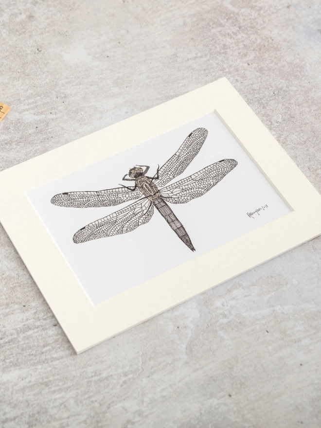 Note card with intricately patterned pen and watercolour drawing of a dragonfly, in a soft white mount