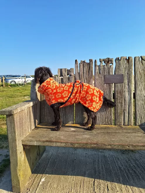 Peach Hibiscus flower dog drying robe. 100% absorbent cotton. Popper fastening, tail hole and full belly coverage. 
