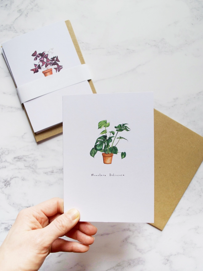 Watercolour illustrated house plant cards on A6 white card, monstera, oxalis, maranta and pilea are hand painted in watercolour and printed onto cards. A white woman's hand holds a single card, the monstera deliciosa between her fingers, the remaining cards sit in their pack to the top left of the image.