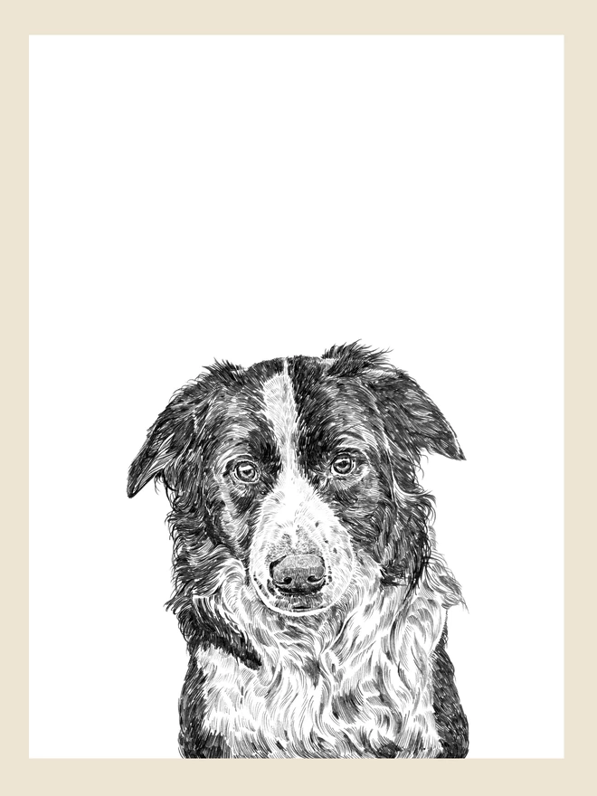 Artwork of border collie dog art print
