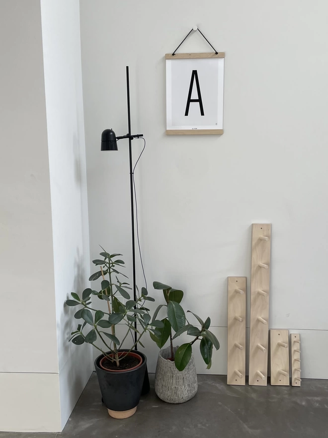 peg rail range together in basket on floor by plant and lamp