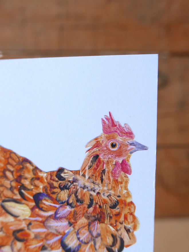 A close up photo of the hen illustrated on the Mother Hen Card, showing details of her feathers 