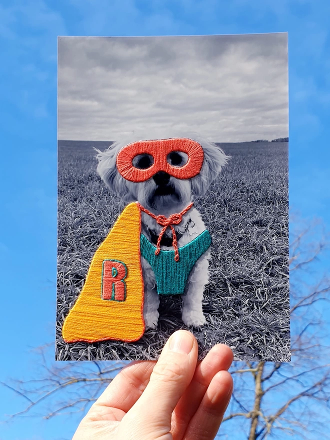 Pet photograph with hand embroidered mask, cape and initial, held against blue sky