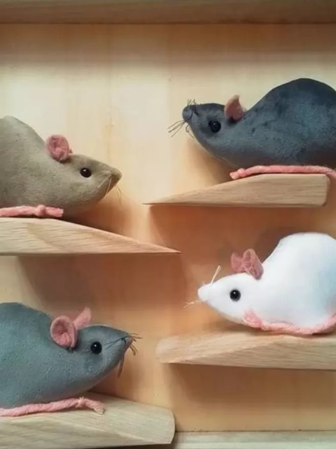 Door mice in a range of colours