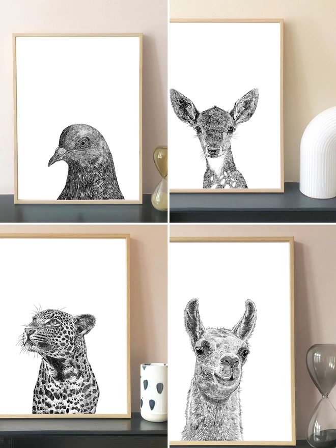 Collection of our best selling animal art prints