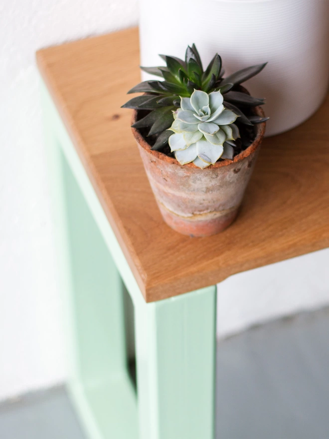 small pot of succulents on an oak and green contemporary bench