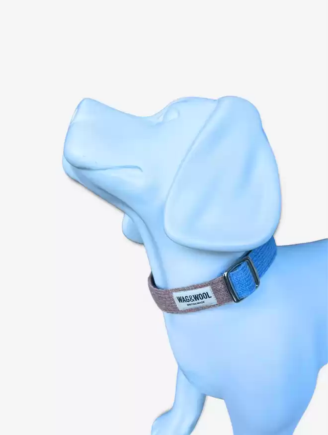 sky blue dog collar and lead set on a dog mannequin