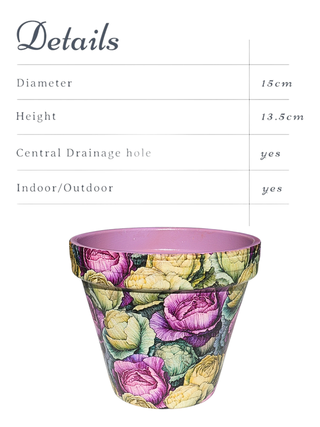 Cabbage Design Plant Pot with details