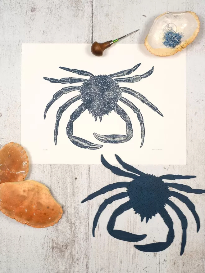 Picture of a Spider Crab, taken from an original Lino Print 