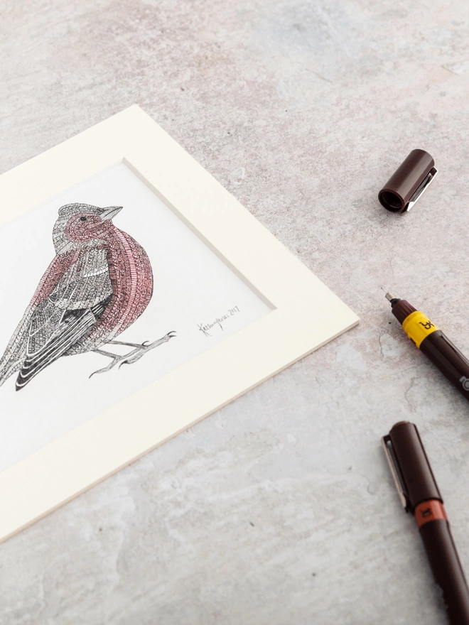 Print of intricately patterned pen and watercolour drawing of a Chaffinch bird, in a soft white mount