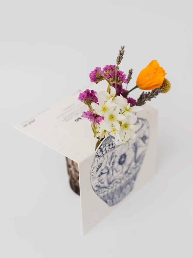 Cosmos Ceramic Vase Plantable Card