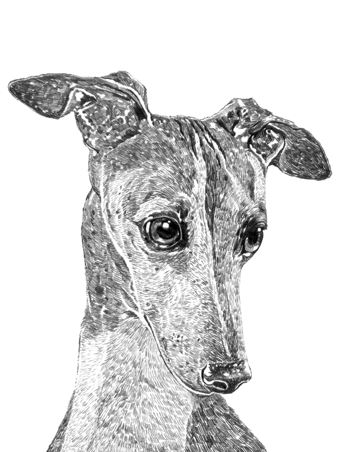 Detail of greyhound dog art print