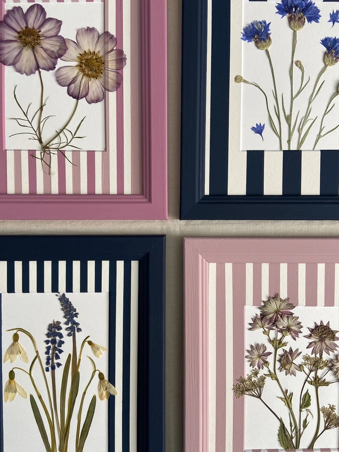 Close up of four frames with pressed flowers