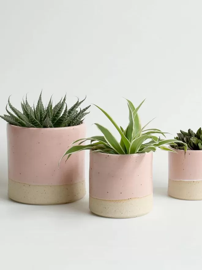 Pale Pink Plant Pots